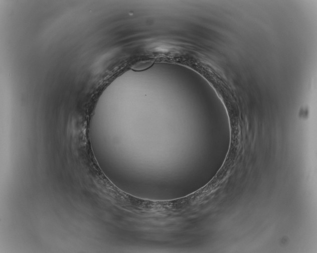 X0000092051013200709191116