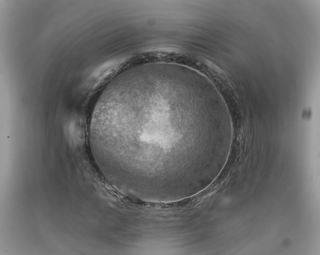 X0000092051014200709191116