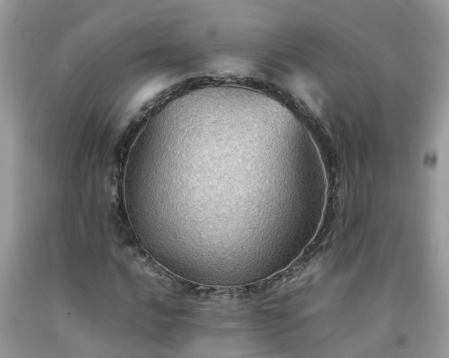 X0000092051016200709191116