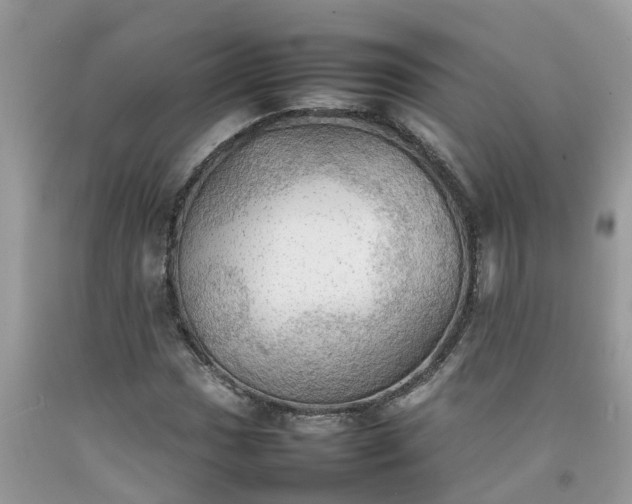 X0000092051017200709191116