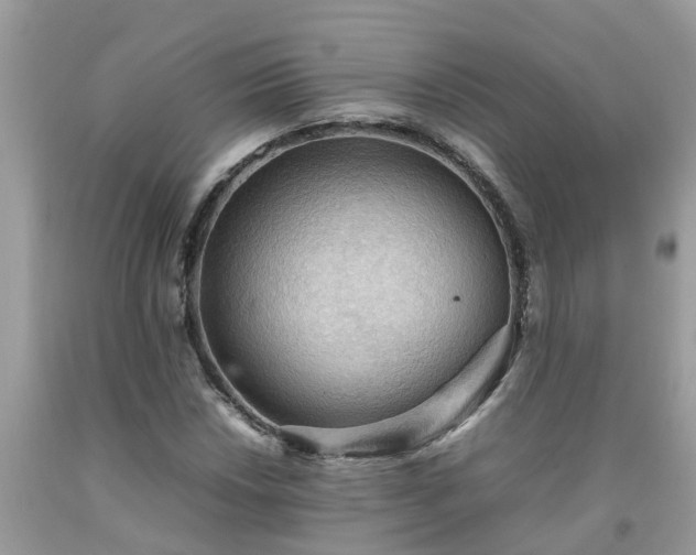 X0000092051018200709191116