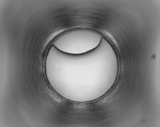 X0000092051019200709191116