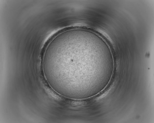 X0000092051021200709191116