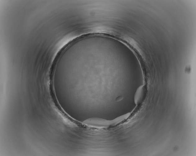 X0000092051024200709191116