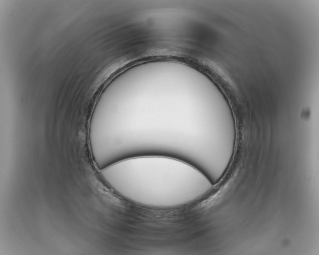 X0000092051025200709191116