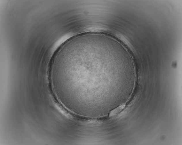 X0000092051026200709191116