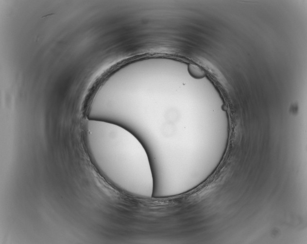 X0000092051027200709191116