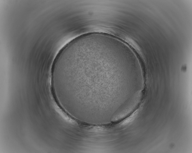 X0000092051028200709191116