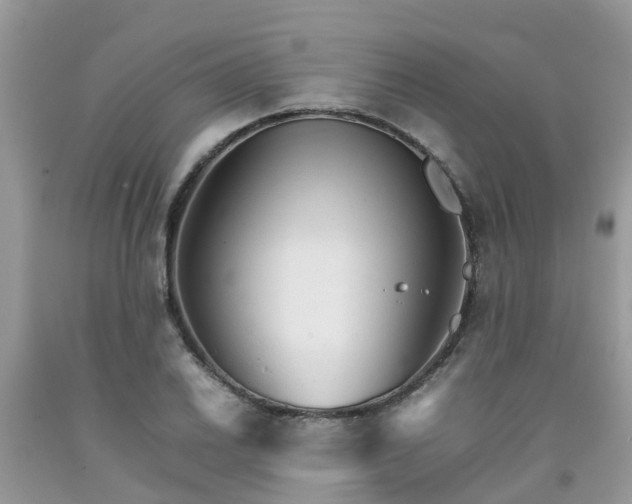 X0000092051030200709191116