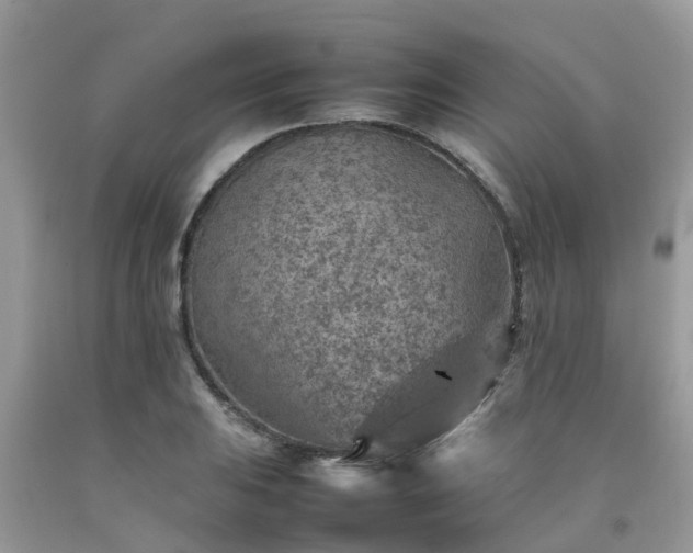 X0000092051031200709191116