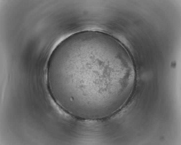 X0000092051032200709191116