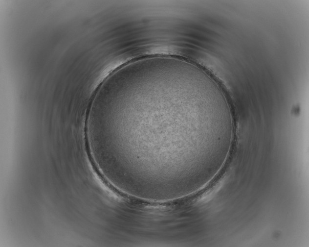 X0000092051033200709191116