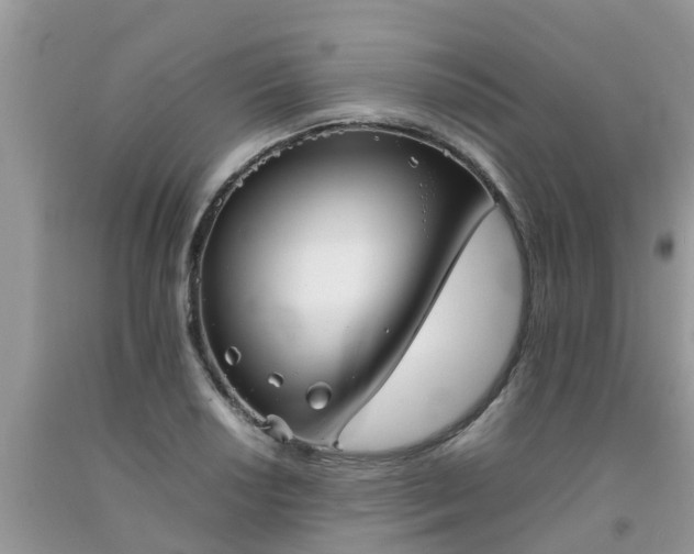 X0000092051034200709191116