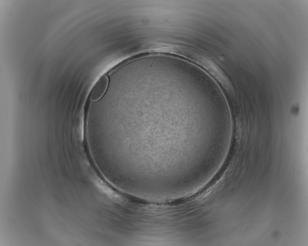 X0000092051036200709191116