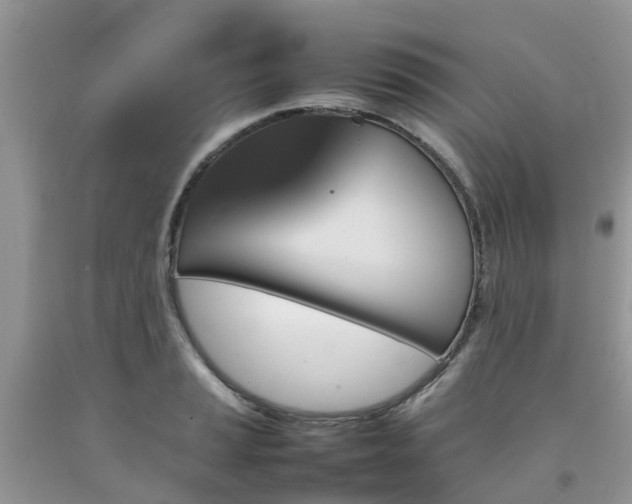 X0000092051037200709191117