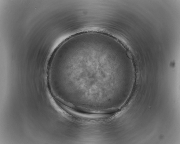 X0000092051038200709191117