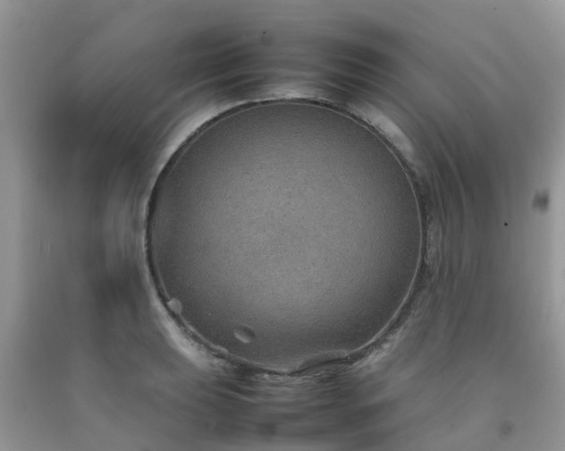 X0000092051039200709191117