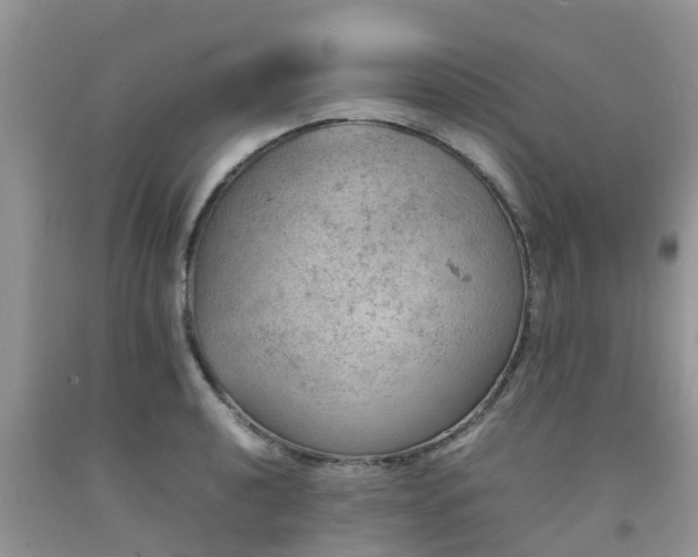 X0000092051040200709191117