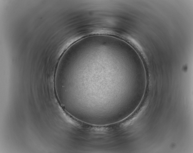 X0000092051041200709191117