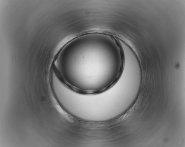 X0000092051042200709191117