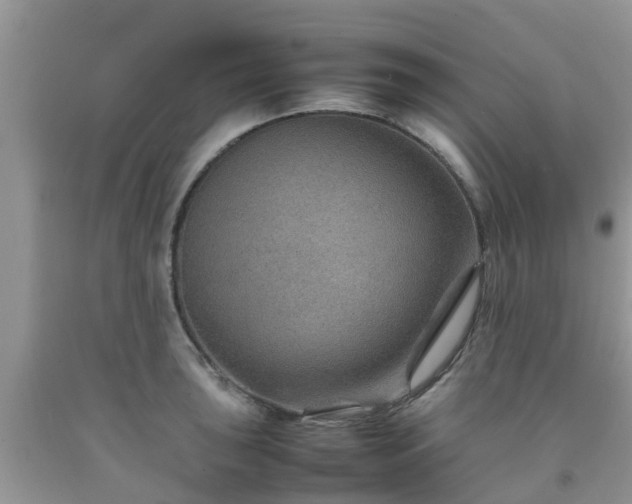 X0000092051043200709191117