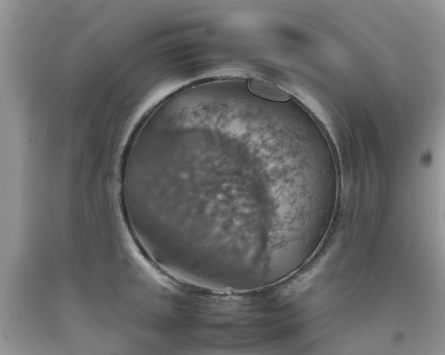 X0000092051045200709191117