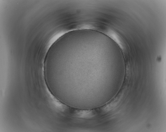 X0000092051047200709191117