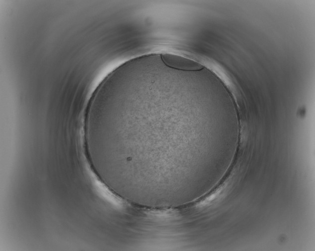 X0000092051048200709191117