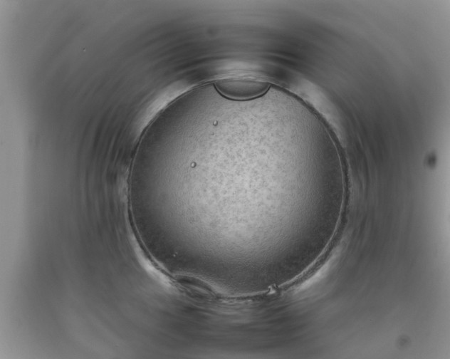 X0000092051049200709191117