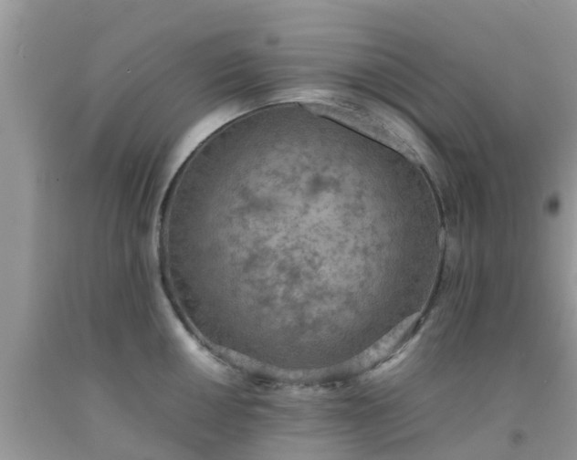 X0000092051050200709191117