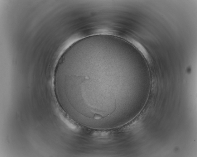 X0000092051051200709191117