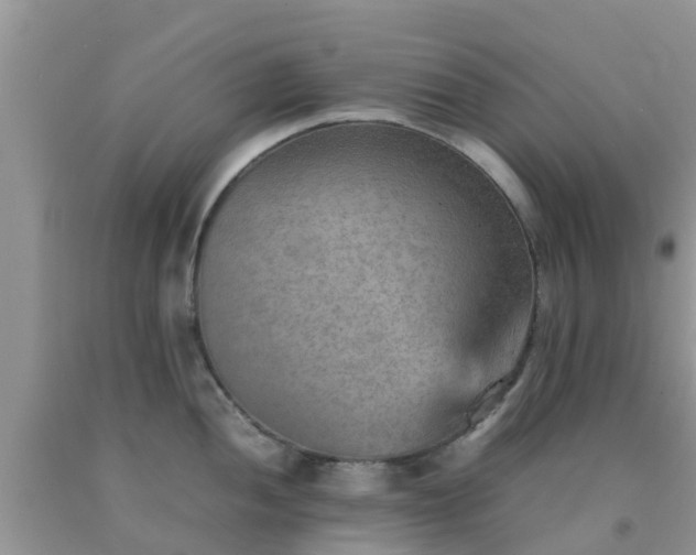 X0000092051052200709191117