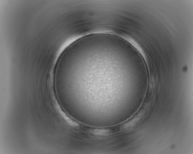 X0000092051053200709191117