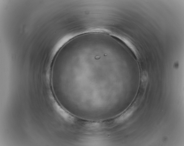 X0000092051054200709191117