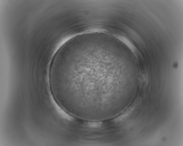 X0000092051055200709191117