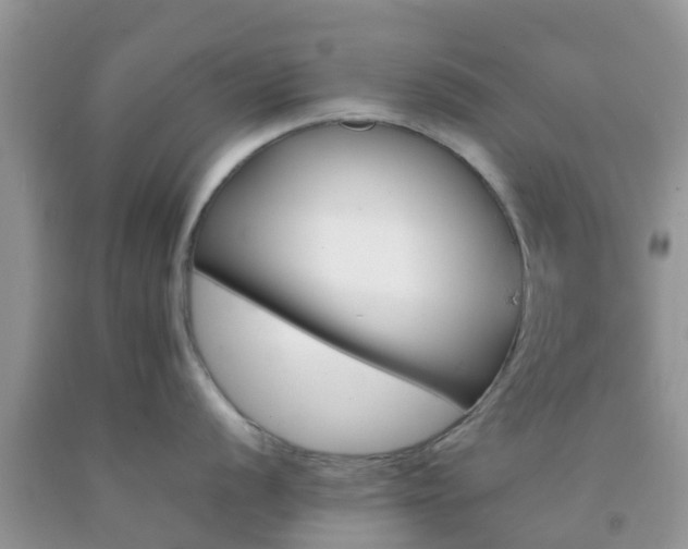 X0000092051056200709191117