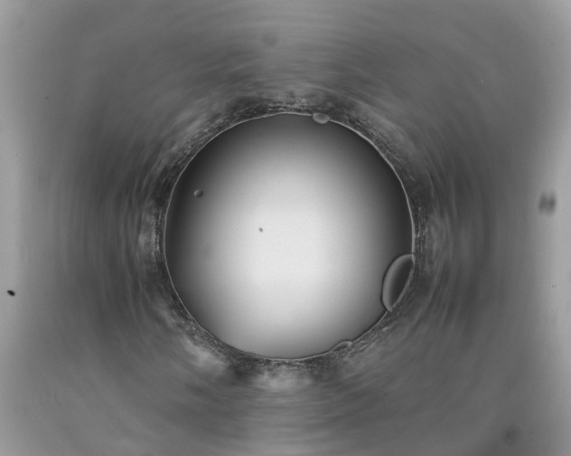 X0000092051058200709191116