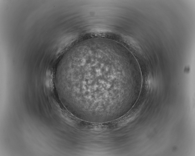 X0000092051060200709191116