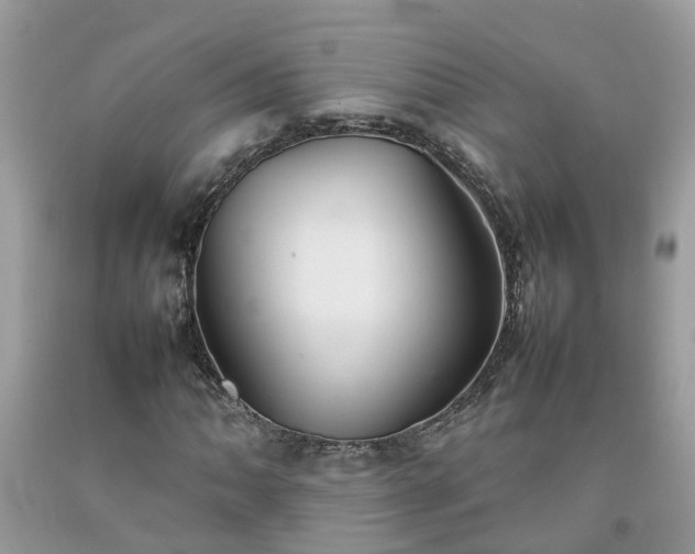 X0000092051062200709191116