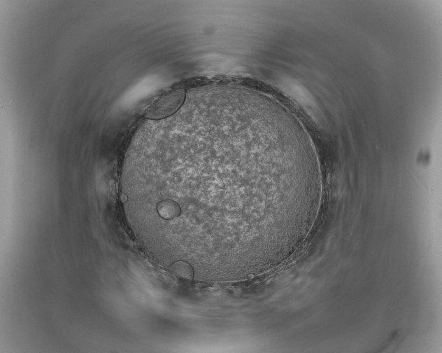 X0000092051063200709191116