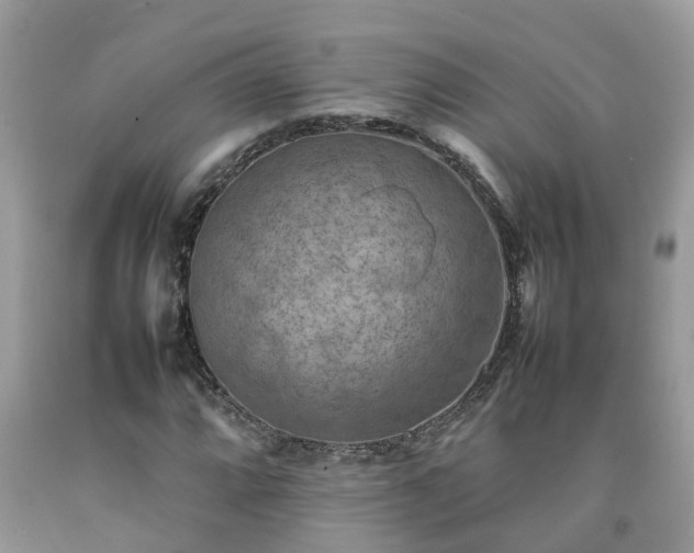 X0000092051064200709191116