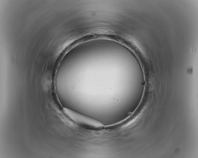 X0000092051065200709191116