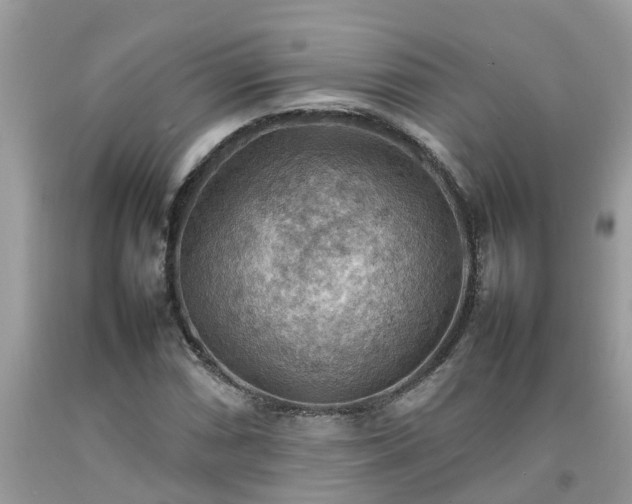 X0000092051066200709191116