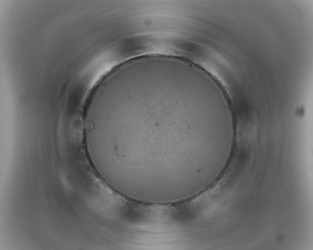 X0000092051067200709191116