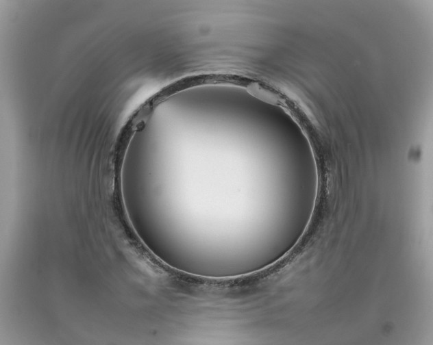 X0000092051069200709191116