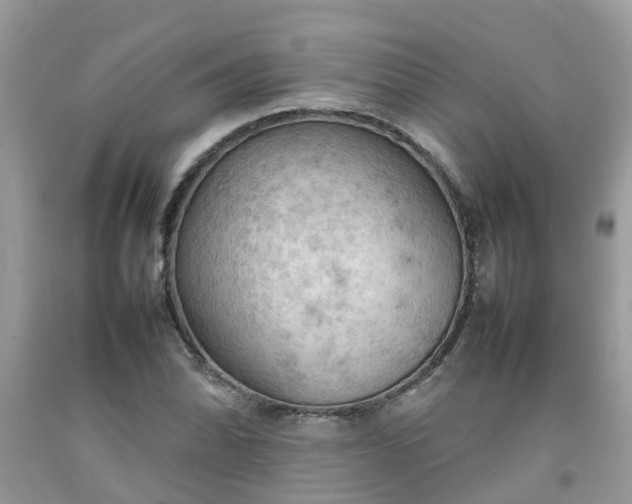 X0000092051070200709191116