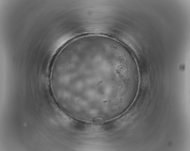 X0000092051071200709191116