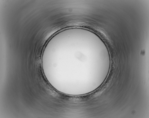 X0000092051073200709191116