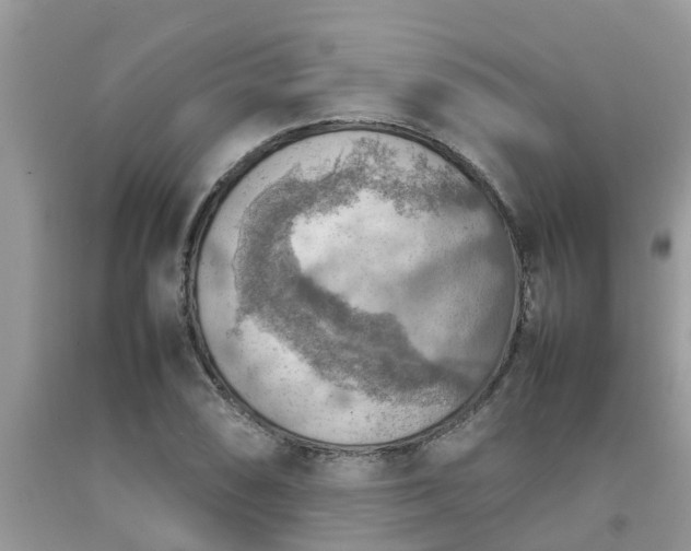 X0000092051074200709191116