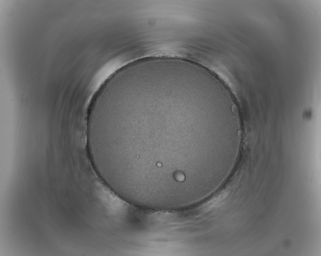 X0000092051075200709191116